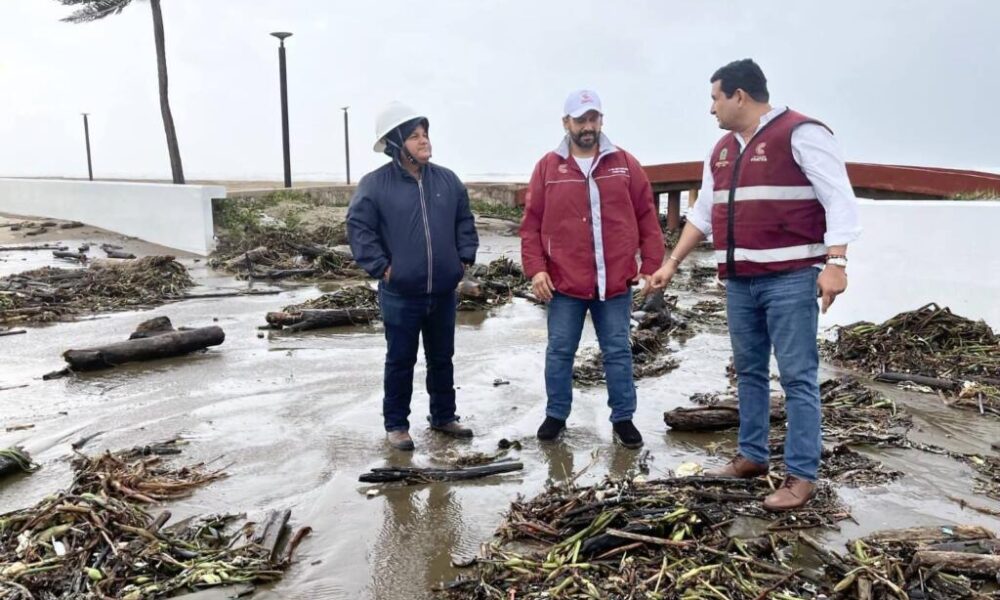 Policía Municipal de Coatzacoalcos realiza labores de vigilancia y apoyo social ante la caída de árboles