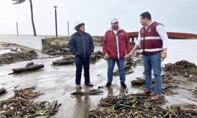Policía Municipal de Coatzacoalcos realiza labores de vigilancia y apoyo social ante la caída de árboles