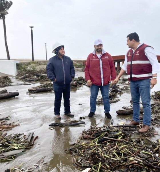 Policía Municipal de Coatzacoalcos realiza labores de vigilancia y apoyo social ante la caída de árboles
