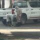 Ataque de enjambre de abejas deja siete lesionados, uno de gravedad, en el centro de Coatzacoalcos