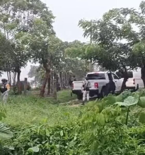 Mueren seis integrantes de una familia en Las Choapas; habrían inhalado gases de una planta de luz