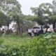 Mueren seis integrantes de una familia en Las Choapas; habrían inhalado gases de una planta de luz