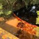 *Derrame de hidrocarburo contamina más de seis kilómetros del río Chacalapa; pescadores señalan a planta de sal de PVM Minera*